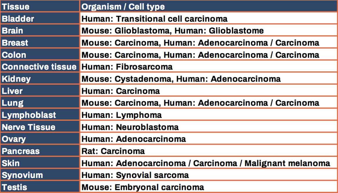 Tumor models